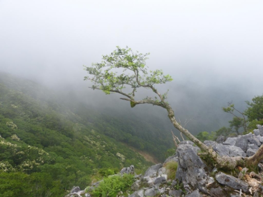 天狗岩